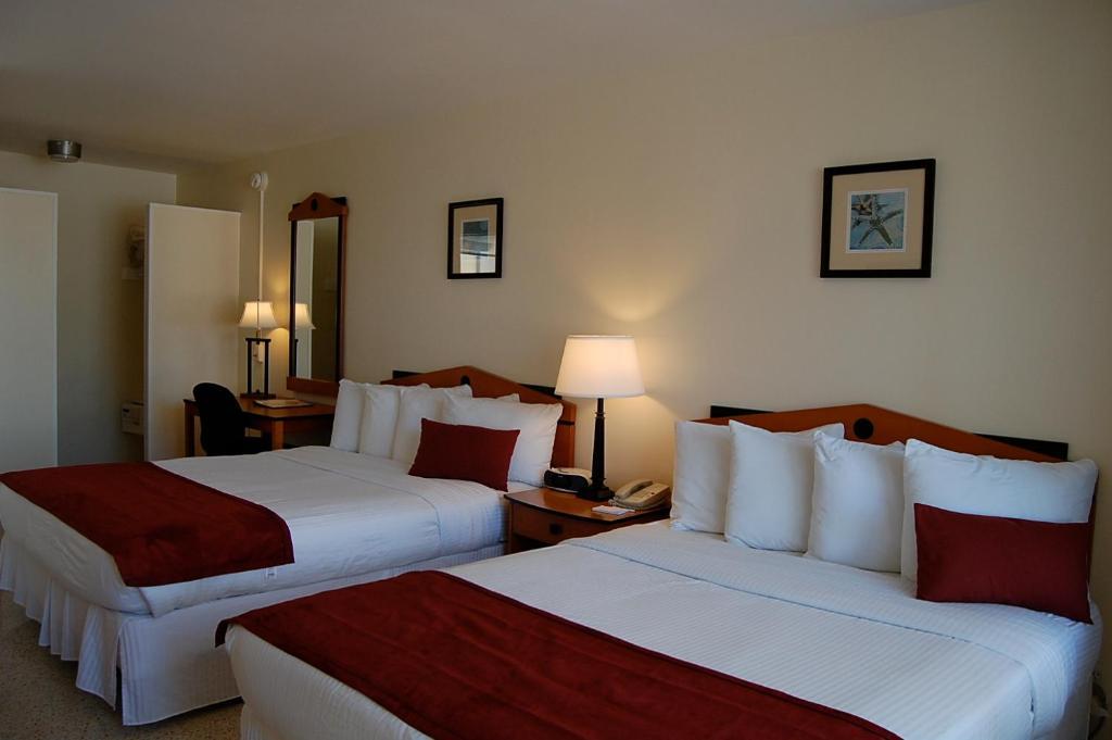 فورت لودرديل Alcazar Resort- Gay Mens Resort الغرفة الصورة